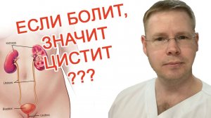 Если болит, значит цистит? / Доктор Черепанов