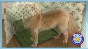 PoochPad - лоток с травкой.