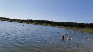 Затопленый карьер. 68 километр Ломоносовского района. 21.06.2020.