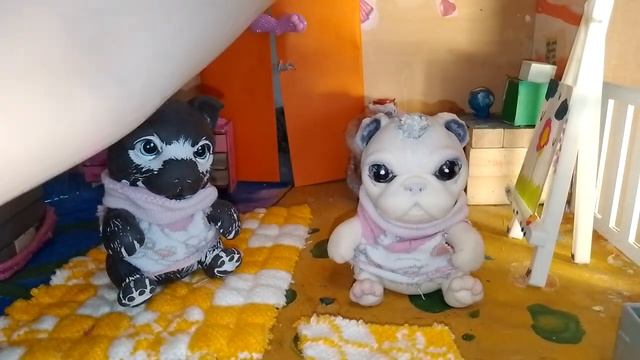 Знакомство с Щеней и Белоглазкой! #Щенька/и/Белоглазка #Лейла/и/Ленточка смотреть онлайн