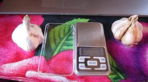 Как хранится чеснок сорта "Любаша"