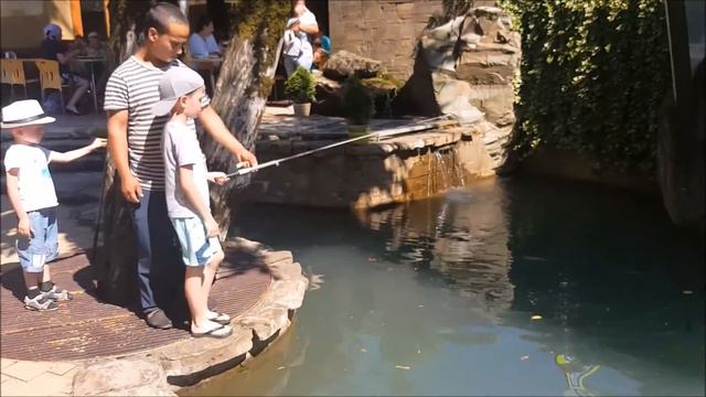 Рыбалка в пруду ловим форель. Обученный человек помогает. смотреть онлайн