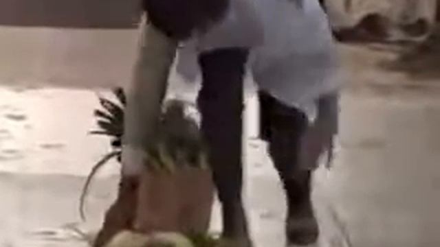 Японские приколы  Липкая дорога