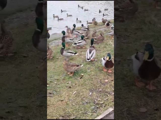 8 ноября 2023 г. смотреть онлайн