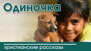 ?ОЧЕНЬ ИНТЕРЕСНЫЙ РАССКАЗ «Одиночка» | Интересный христианский рассказ