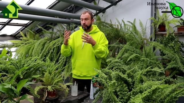 ПРИРОДНЫЕ УДОБРЕНИЯ КОСТНАЯ и ФОСФОРИТНАЯ МУКА: как выбирать, покупать, проверять и использовать. смотреть онлайн