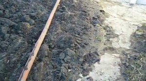 пгт Анна | Воронежская область | Борьба с весенним половодьем на целине