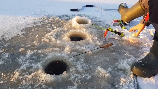 На север за корюшкой. Рыбалка которую не описать- ЭТО НУЖНО УВИДЕТЬ. #Fishing смотреть онлайн