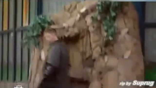 Вор в законе япончик