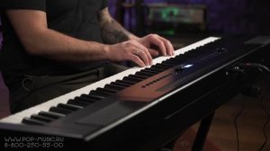 Цифровое пианино Rockdale RDP-4088