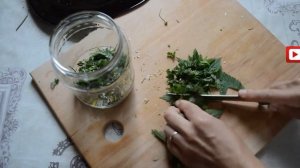 СУПЕР СРЕДСТВО ОТ ОБЛЫСЕНИЯ и залысин у женщин. Что делать если сильно выпадают волосы на голове