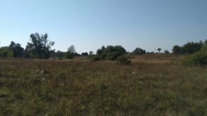 Деревни Александровка и Вершань (Брянская область, Почепский район, Краснорогский сельсовет)