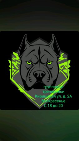 клуб"PITBULL"