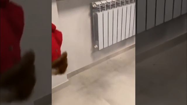 Хасбик поднялся Хасбик сутки наши смотреть онлайн