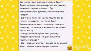 Анекдоты про чукчу и не только?