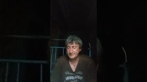 песня. журавли летят над нашей зоной