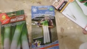 Как посадить лук порей в улитки новым способом, и как обрезать рассаду лука.