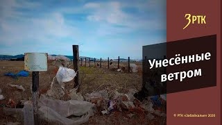 Унесённые ветром