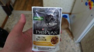 Какой влажный корм для кошек лучше СРАВНИВАЕМ Лента Sheba Perfect Fit Pro Plan Gourmet