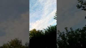 Голуби Павлодар