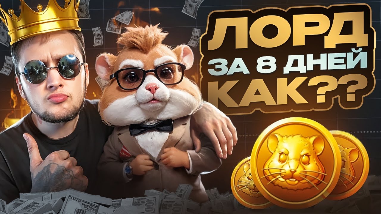 Какие карты лучше прокачивать в hamster kombat