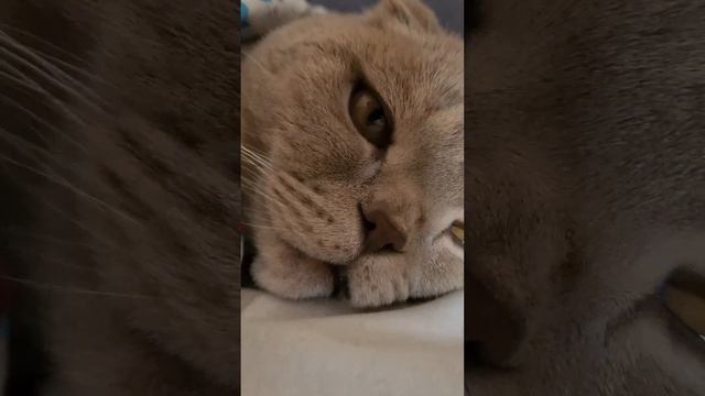 когда вкл обогрев в кв смотреть онлайн