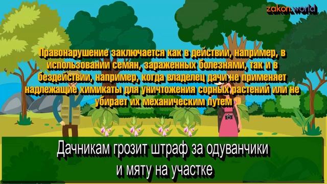 Дачникам грозит штраф за одуванчики и мяту на участке смотреть онлайн