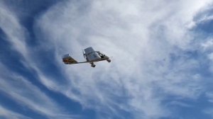 Поршень - бекас - 14сек