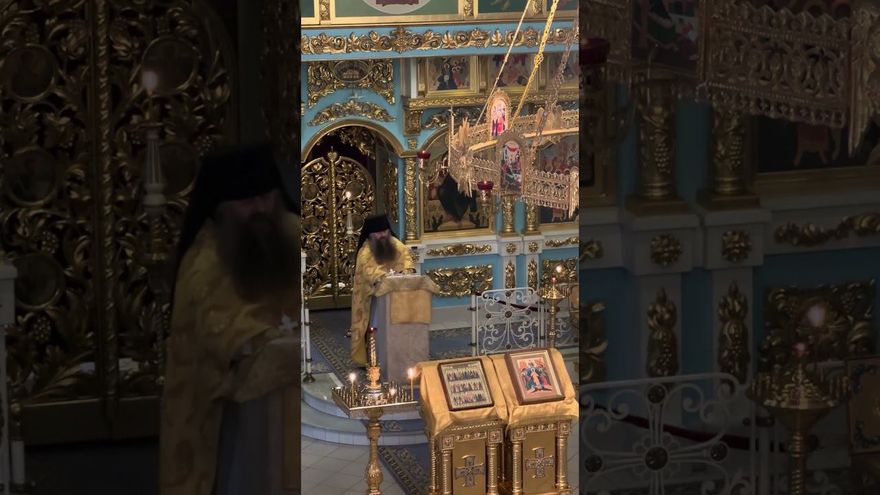 Проповедь святителя Луки (Войно-Ясенецкого) о гадаринском бесноватом