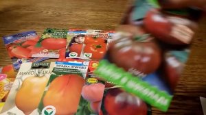 САМЫЕ ВКУСНЫЕ, ВЫСОКОРОСЛЫЕ ТОМАТЫ ВЫСЕВАЮ ОДНИМИ ИЗ ПЕРВЫХ! Почему...