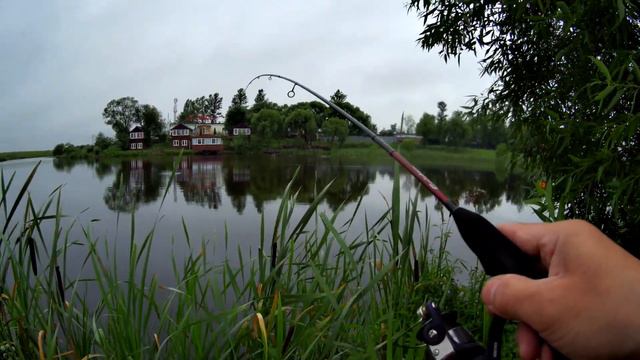 Окунь красный,и карась.