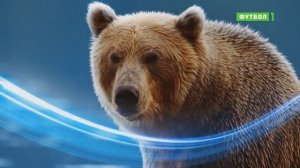 КУБОК АМЕРИКИ  ПОЛУФИНАЛ  БРАЗИЛИЯ   АРГЕНТИНА