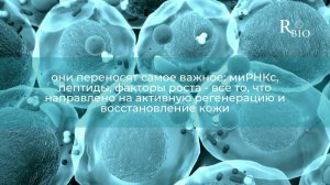 Exosomes Rejusome - Экзосомы для косметологии