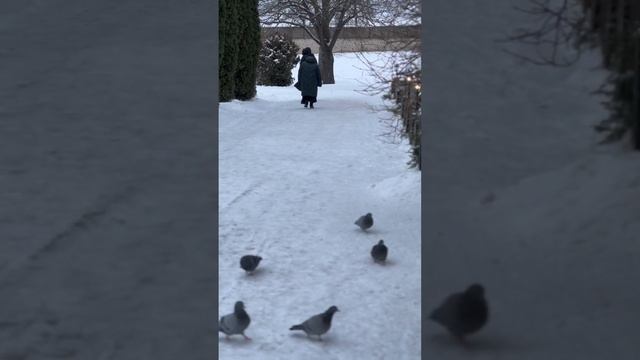 Псковский Кром. г. Псков, Кремль.