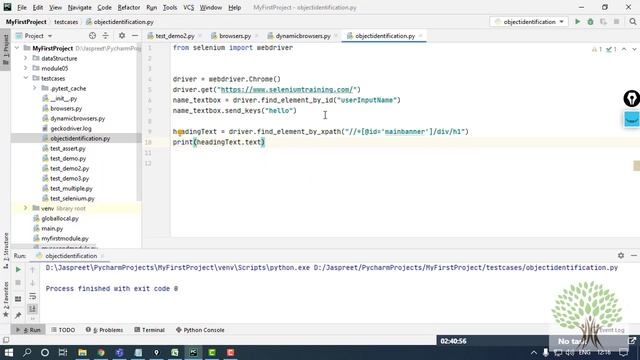 Using Xpaths with Selenium Python | Selenium with Python Tutorial