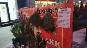 Влог/Прекрасный день!Обзор новогодних товаров в FIX price⛄??