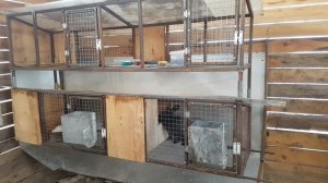 Клетки для кроликов. Уличное содержание.