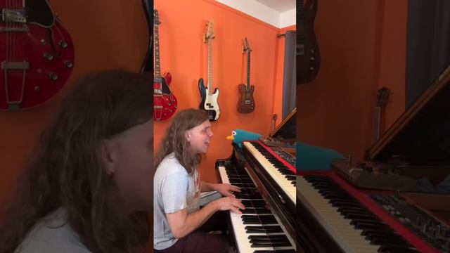 Nirvana - Come As You Are 🎹 #piano #scottchasolen #nirvana #kurtcobain #platypus #pleasesubscribe 🙏