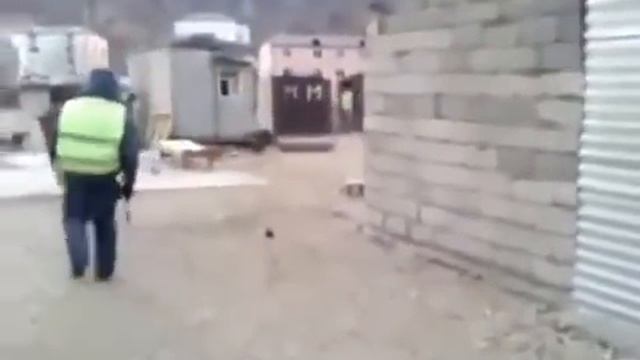 Осел украл гаишника смотреть онлайн