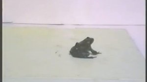 Отравление стрихнином Козлов, Евсеев