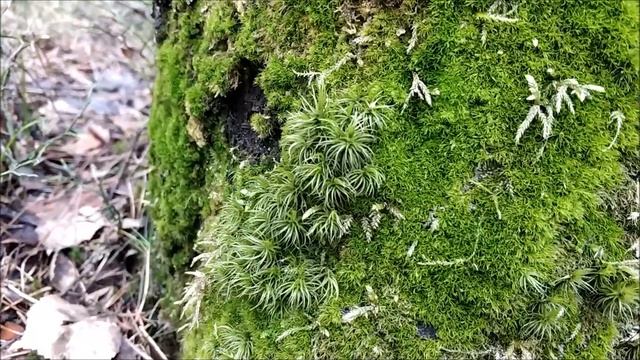 Не привыкайте к чудесам смотреть онлайн