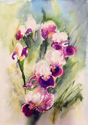 Ирисы/акварельный мастер класс ПРОМО