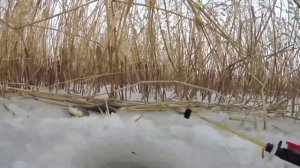 ЛОВЛЯ КАРАСЯ В ДЕКАБРЕ: КАК и где ЛОВИТЬ КАРАСЯ НА МОРМЫШКУ И ПОПЛАВОЧНУЮ УДОЧКУ.