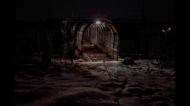 Гольяново - Ночное Гольяново