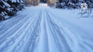 зимний лес в подмосковье. Пламя, Снег кружится