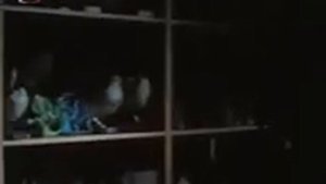 Осьминожки со второго этажа Chobotnice z II patra  Серия 4