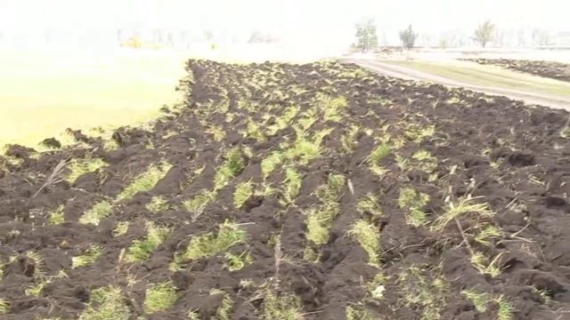 Плуг прицепной оборотный ППРО-12-01 смотреть онлайн