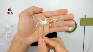 ABC TV | How To Make Spider lily Paper Flower (Slowly)| Paper Quilling - Craft Tutorial