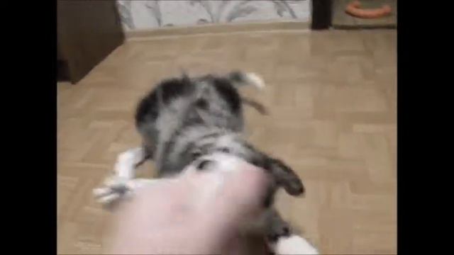 2 мес смотреть онлайн