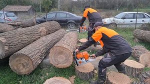 Stihl ms 500 i & Stihl ms 661 c-m